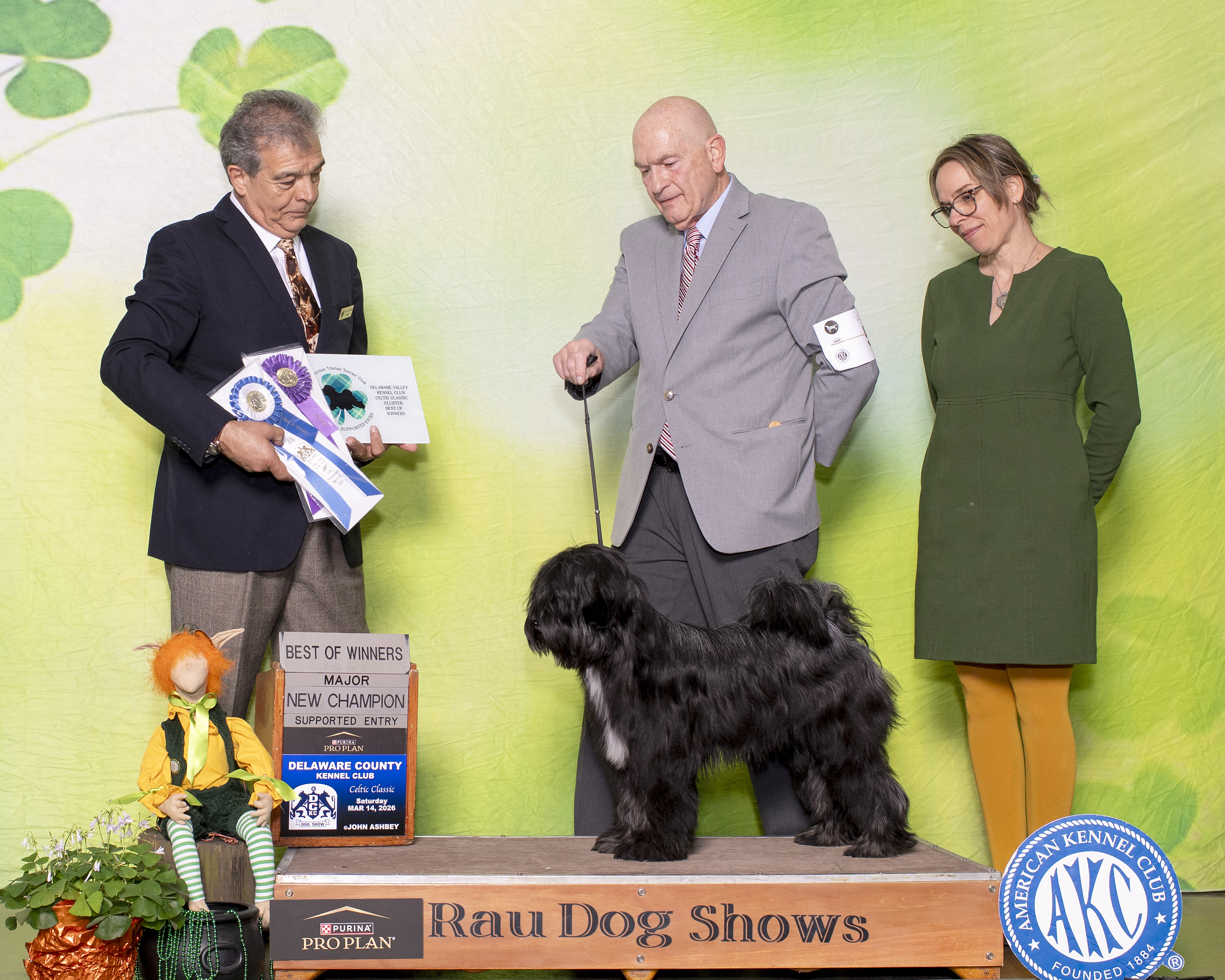 Desmond winning Best of Winners at the Delaware County Kennel Club Celtic Classic